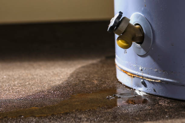 Best Local water damage restoration  in St Stephens, NC
