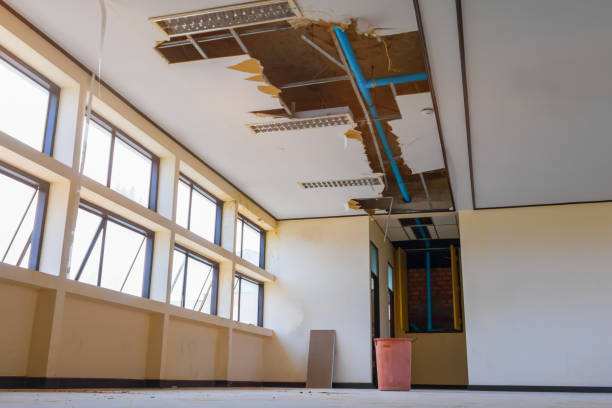 Best Water damage contractors near me  in St Stephens, NC