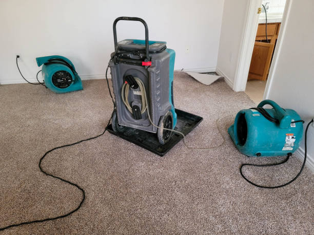Best Basement water damage restoration  in St Stephens, NC