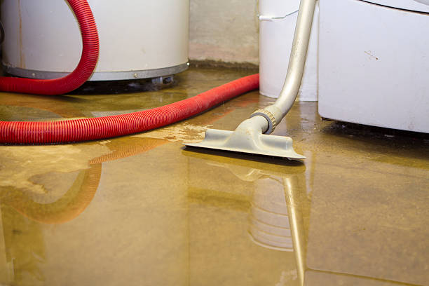 Best Fire Damage Restoration  in St Stephens, NC