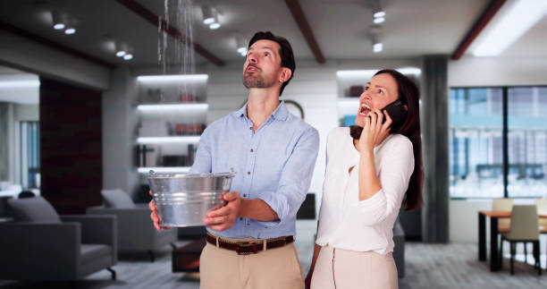 Best Ceiling water damage repair  in St Stephens, NC